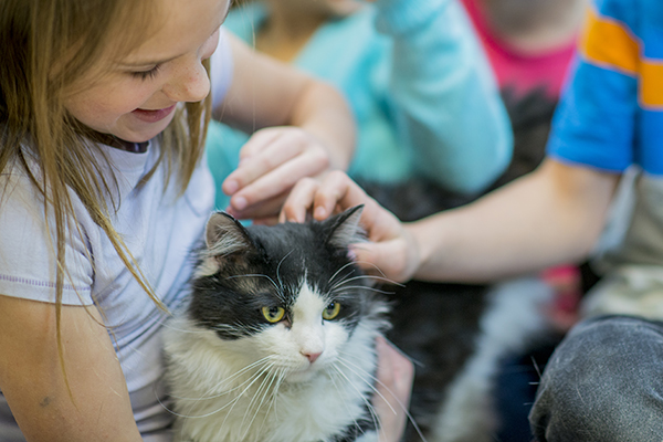 Bambini vicini tra loro che accarezzano un tenero gatto di strada dal manto bianco e nero, a rischio di contagiarsi l’uno con l’altro di parvovirus umano