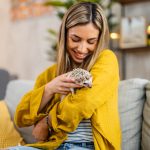 Giovane donna che gioca con il suo riccio africano sul divano, uno degli esempi di animali esotici domestici sempre più diffusi