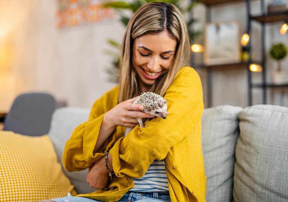 Giovane donna che gioca con il suo riccio africano sul divano, uno degli esempi di animali esotici domestici sempre più diffusi