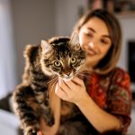 Padrona tiene in braccio il suo gatto curioso che accusa sintomi della gastroenterite