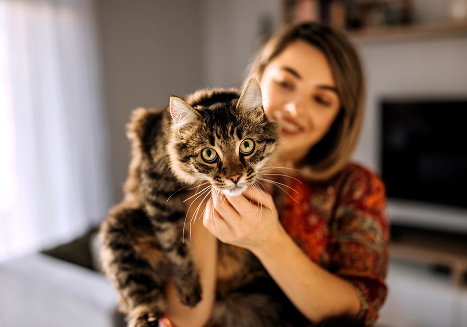 Padrona tiene in braccio il suo gatto curioso che accusa sintomi della gastroenterite