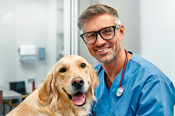 Prevenzione e cura delle malattie infettive nei cani attraverso controlli mirati dal veterinario di fiducia