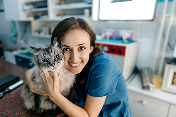 Veterinaria che abbraccia amorevolmente un gatto debilitato durante una visita, fornendo indicazioni sui rimedi naturali per combattere la diarrea