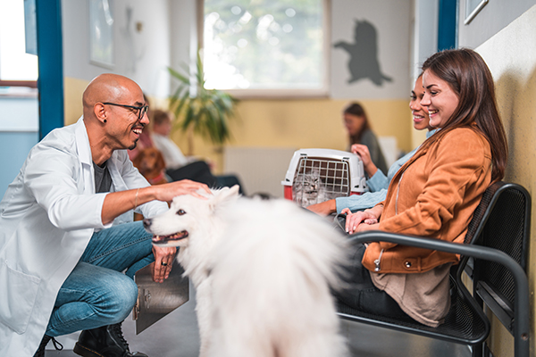 Veterinario che conversa fiducioso con due proprietarie di pet, rispettivamente di un cane e d un gatto, nella sala d’attesa della clinica