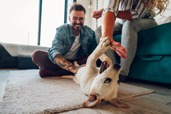Coppia che stimola il cane che soffre di insufficienza renale a giocare e a interagire in casa, un ambiente che per lui è sicuro e stimolante