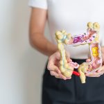 Studentessa che mostra un modello anatomico dell’intestino a grandezza naturale per rappresentare il concetto di tumore e di prevenzione della salute intestinale