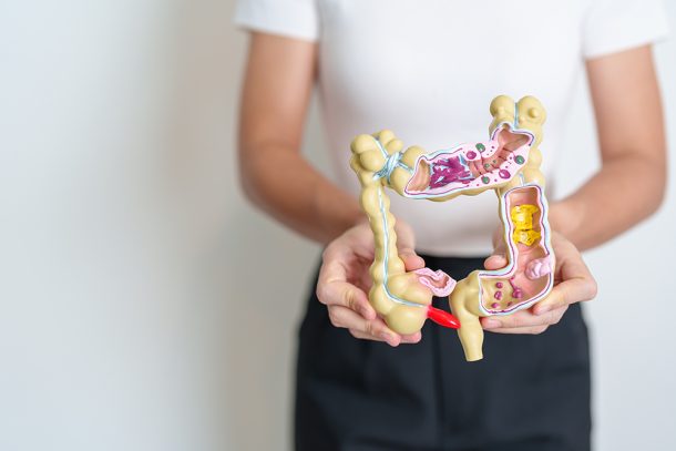 studentessa-mostrando-modello-intestino-rappresentazione-concetto-tumore Studentessa che mostra un modello anatomico dell’intestino a grandezza naturale per rappresentare il concetto di tumore e di prevenzione della salute intestinale