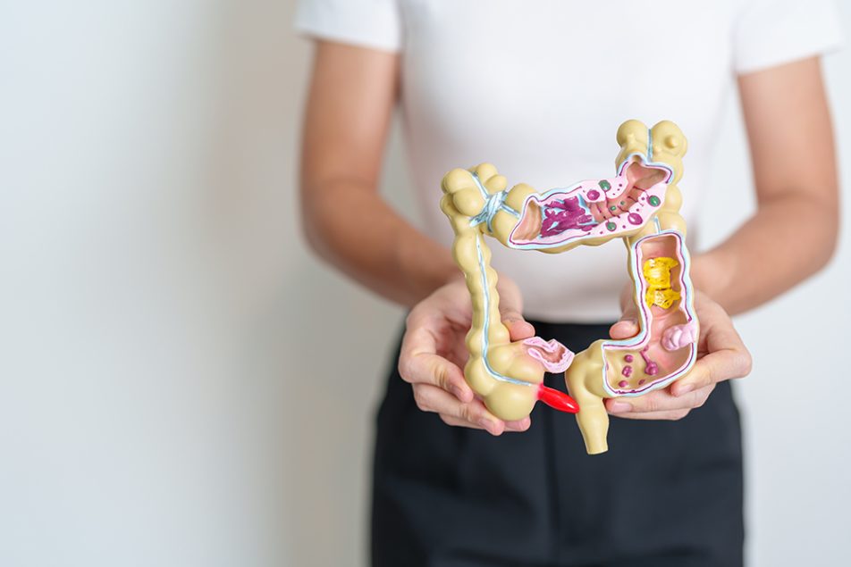 studentessa-mostrando-modello-intestino-rappresentazione-concetto-tumore Studentessa che mostra un modello anatomico dell’intestino a grandezza naturale per rappresentare il concetto di tumore e di prevenzione della salute intestinale