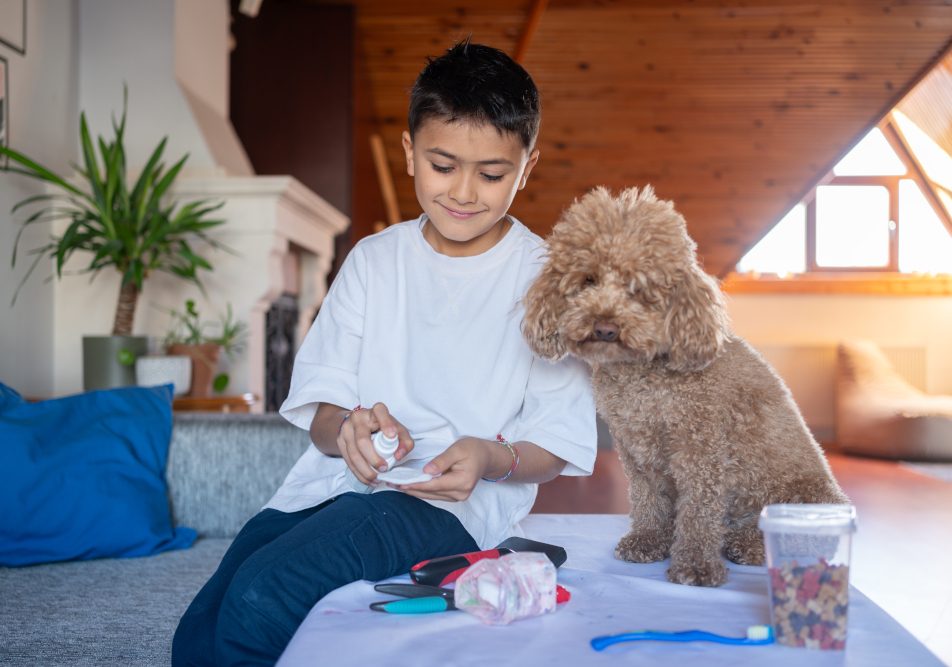 bambino-cura-congiuntivite-cane Bambino che medica il suo cane per la congiuntivite