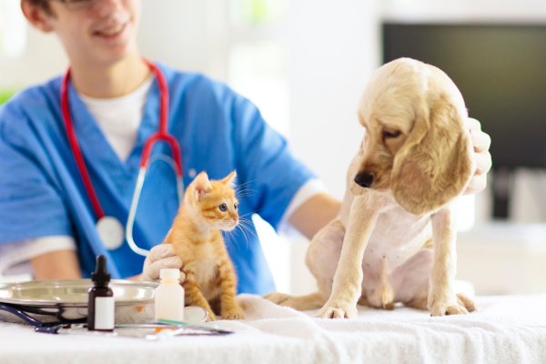 Cane e gatto nello studio del veterinario che hanno un' assicurazione che copre rimborso spese veterinarie