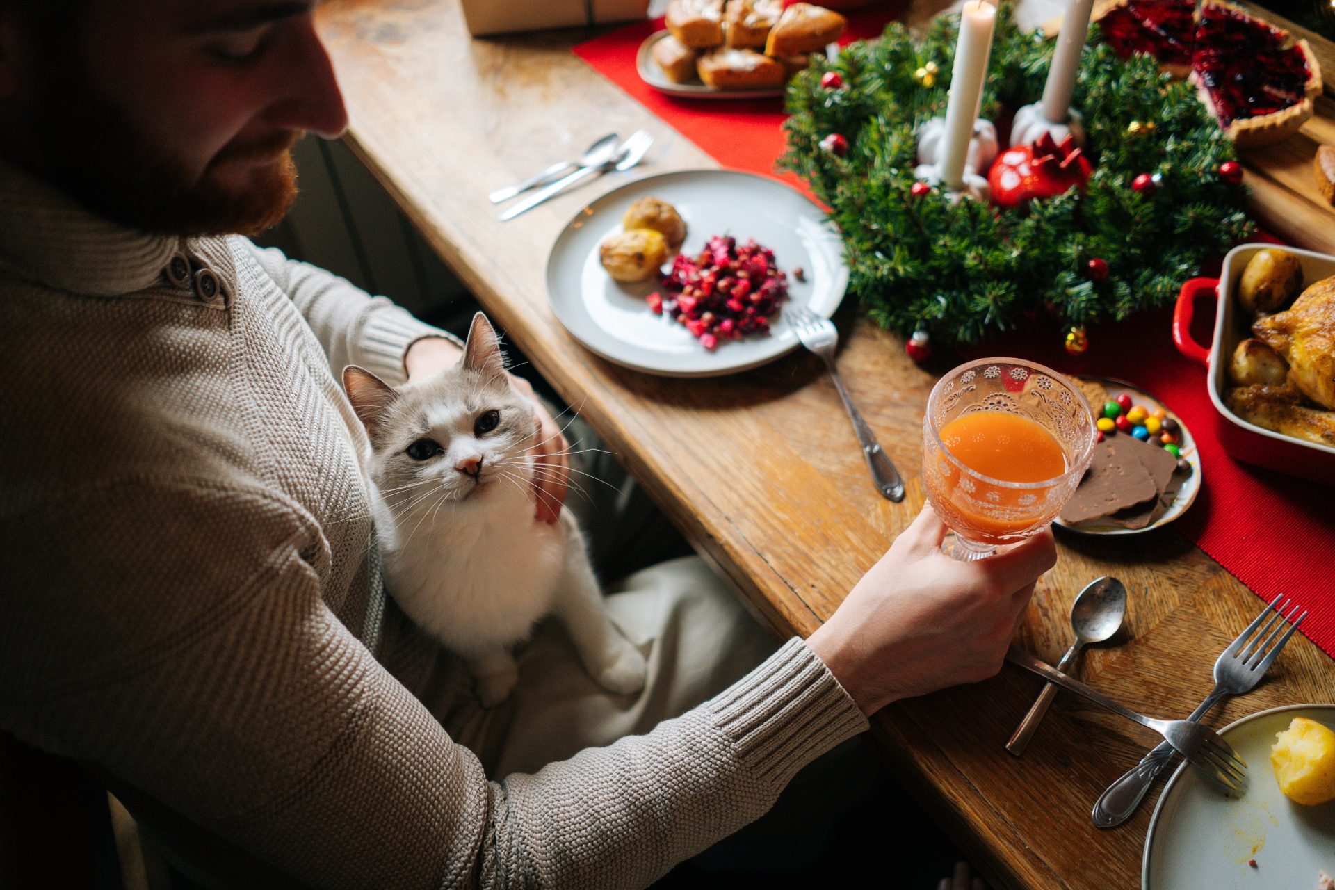 gatto a tavola natale