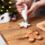 cane dolci natale