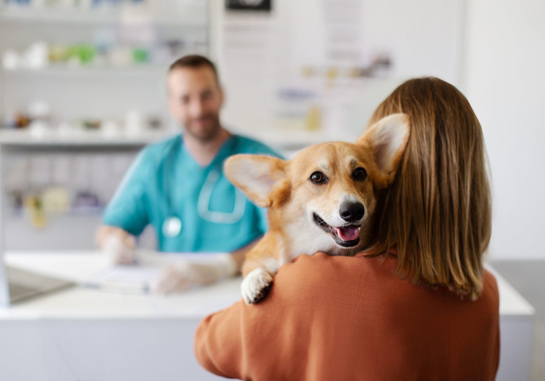 check-up-veterinario_cover donna porta cane dal veterinario