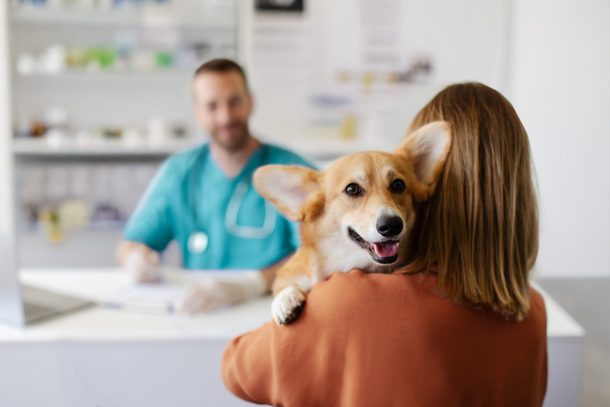 check-up-veterinario_cover donna porta cane dal veterinario