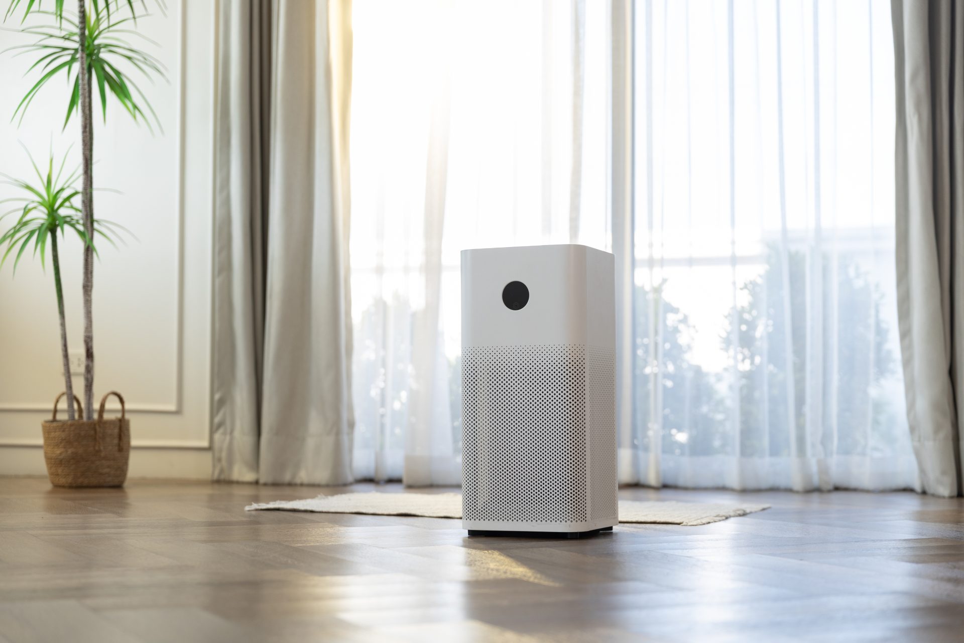 purificatore aria domestico