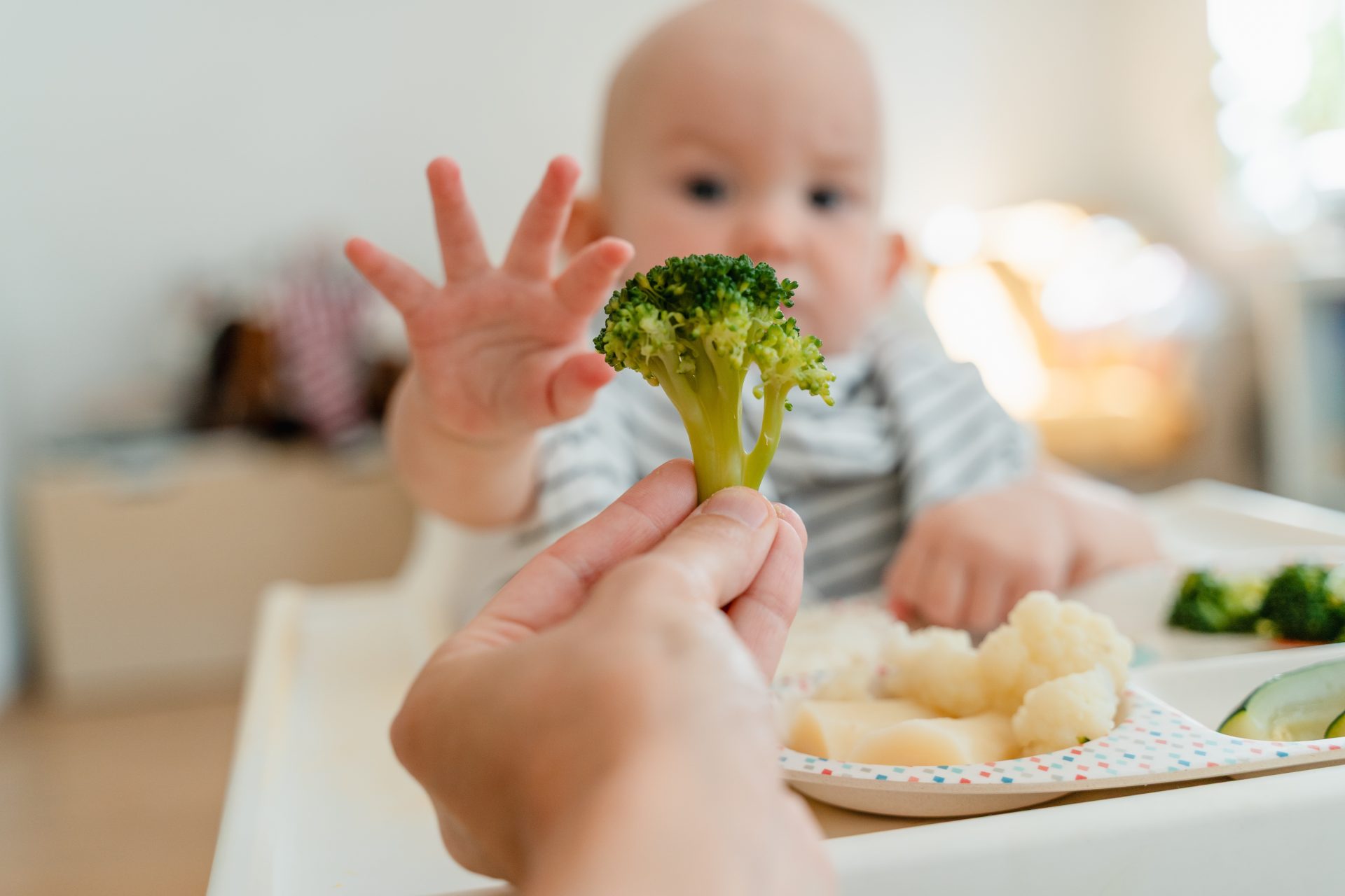 genitore porge broccolo a neonato